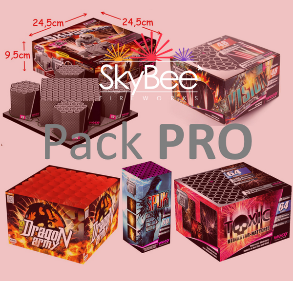 Pack 10 fusées— Skybee