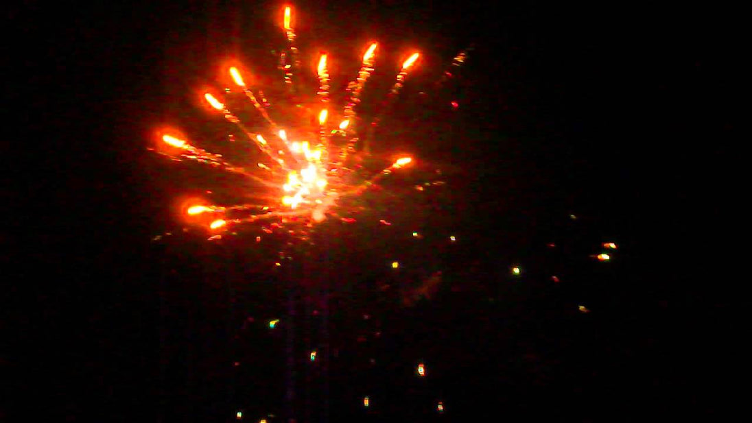  Twilight Zone 79 shots, Batterie pro, SkyBee